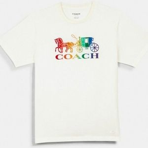 Rainbow Horse and Carriage Coach T